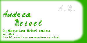 andrea meisel business card